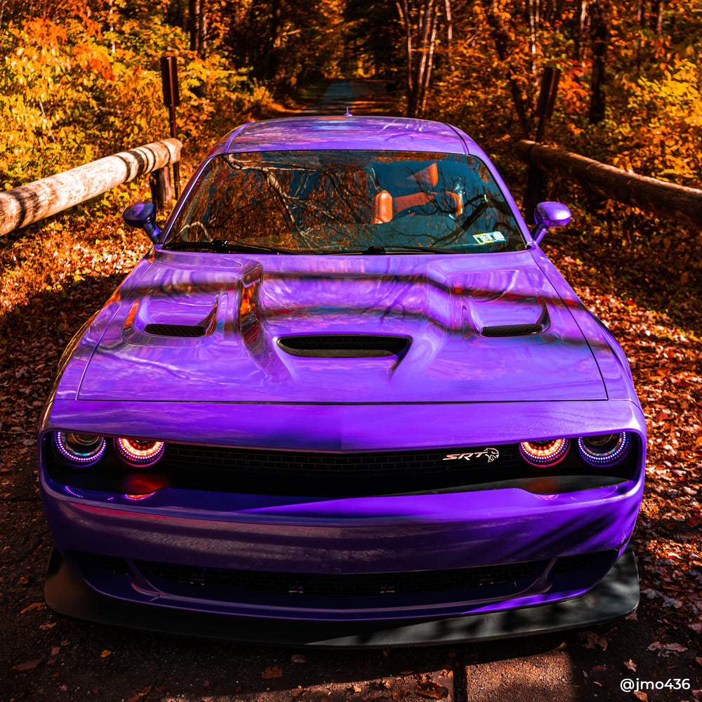 VVIVID+ Poison Purple Gloss