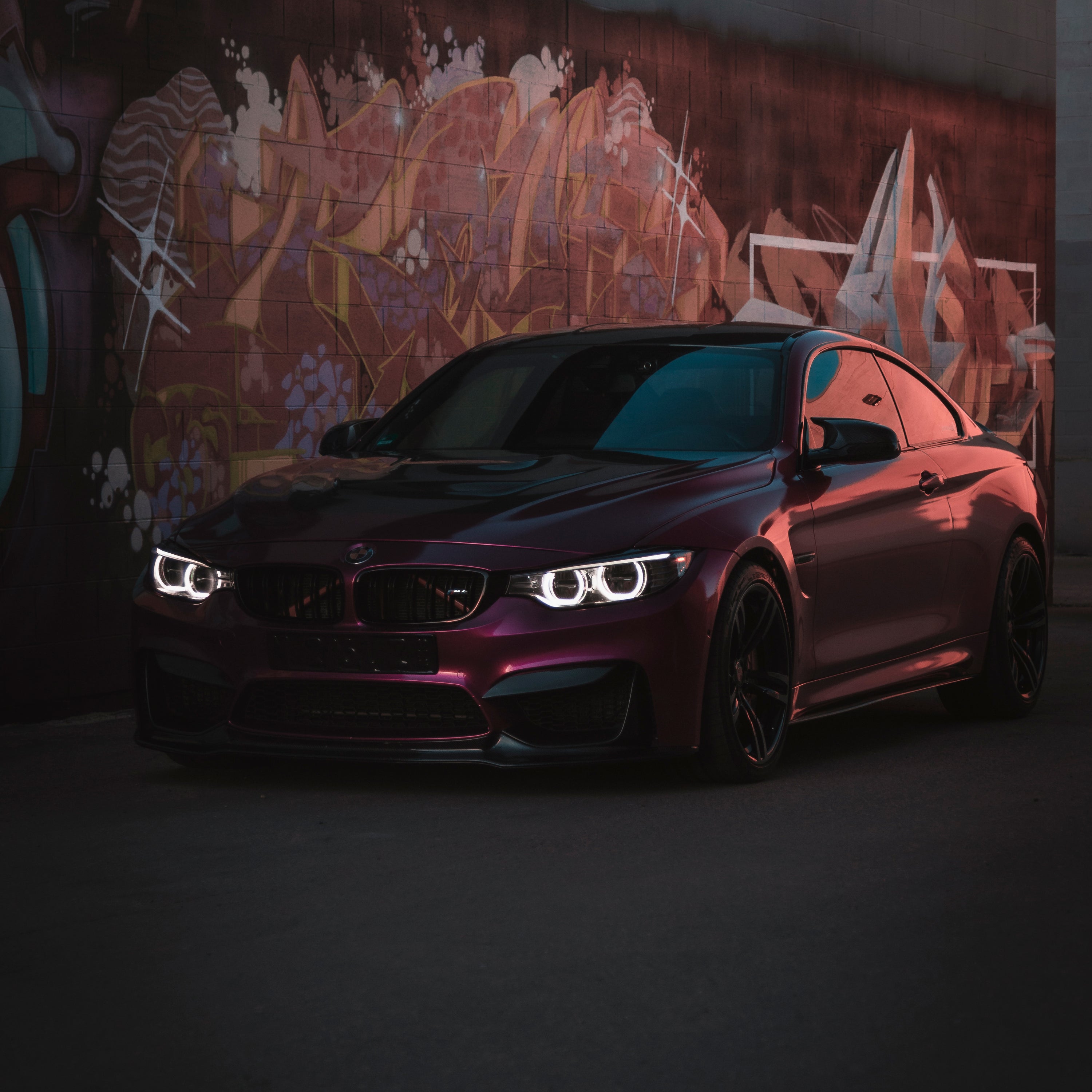 VVIVID+ Joker Purple