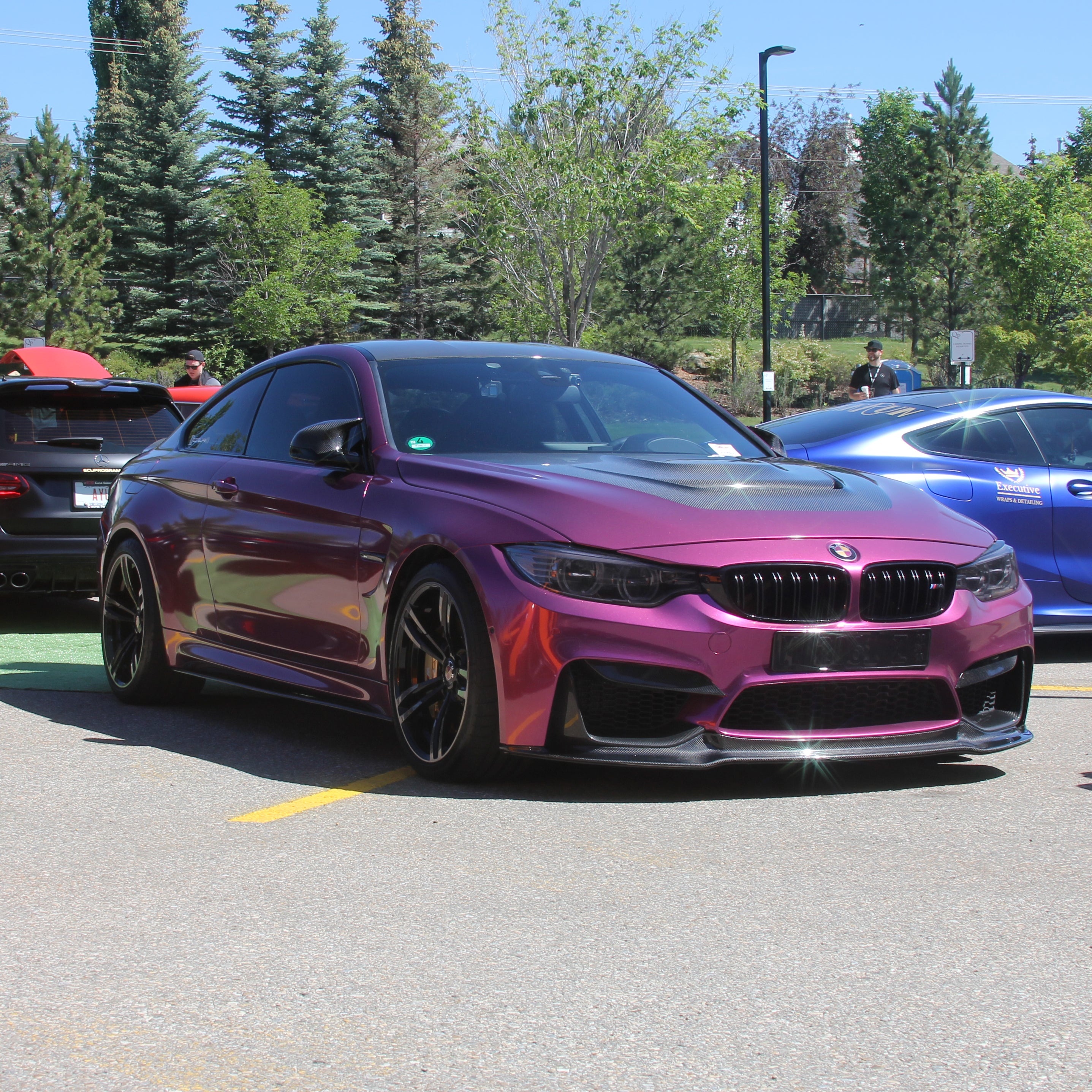 VVIVID+ Joker Purple