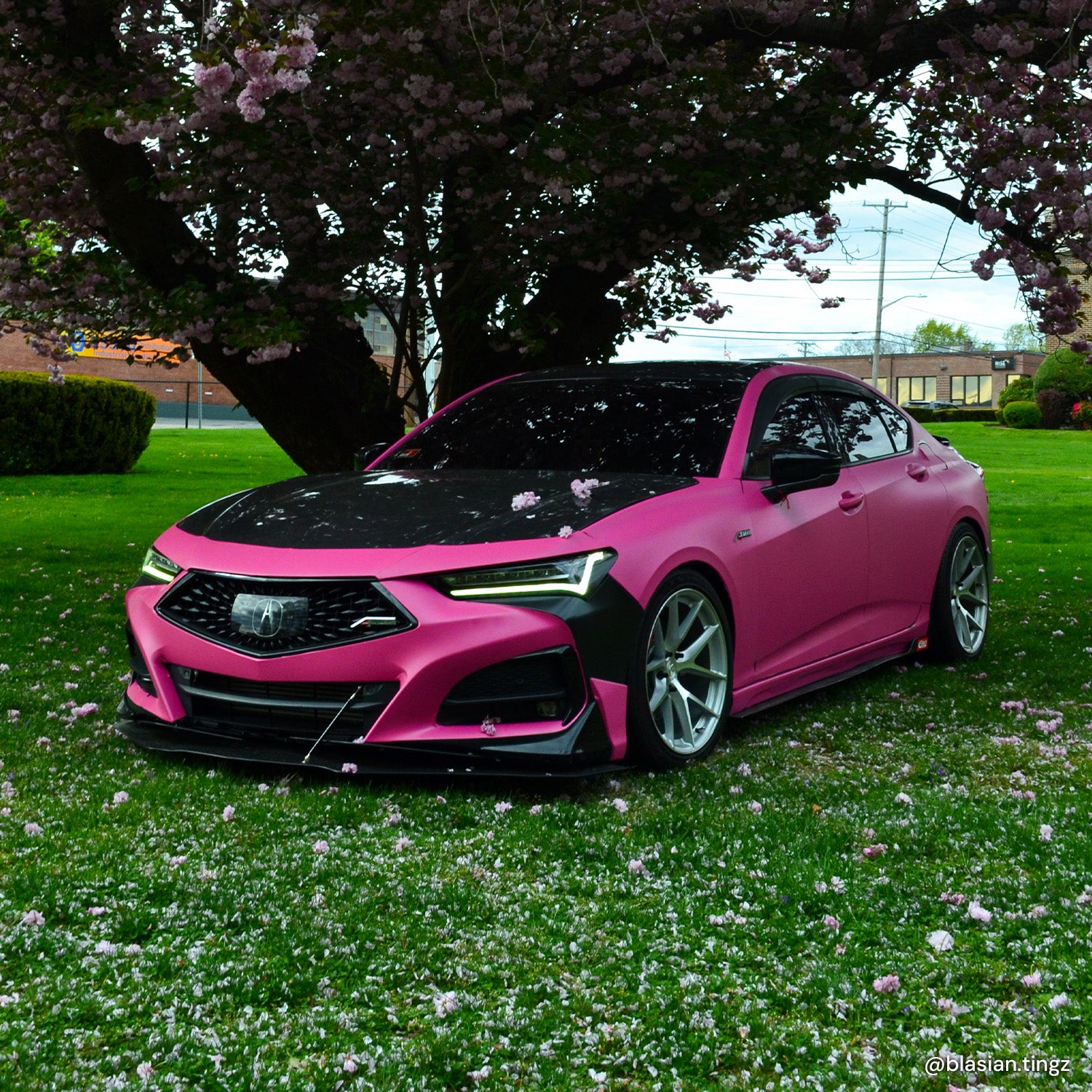 XPO Magenta Matte Vinyl Wrap | Vvivid Canada – VViViD Shop Canada