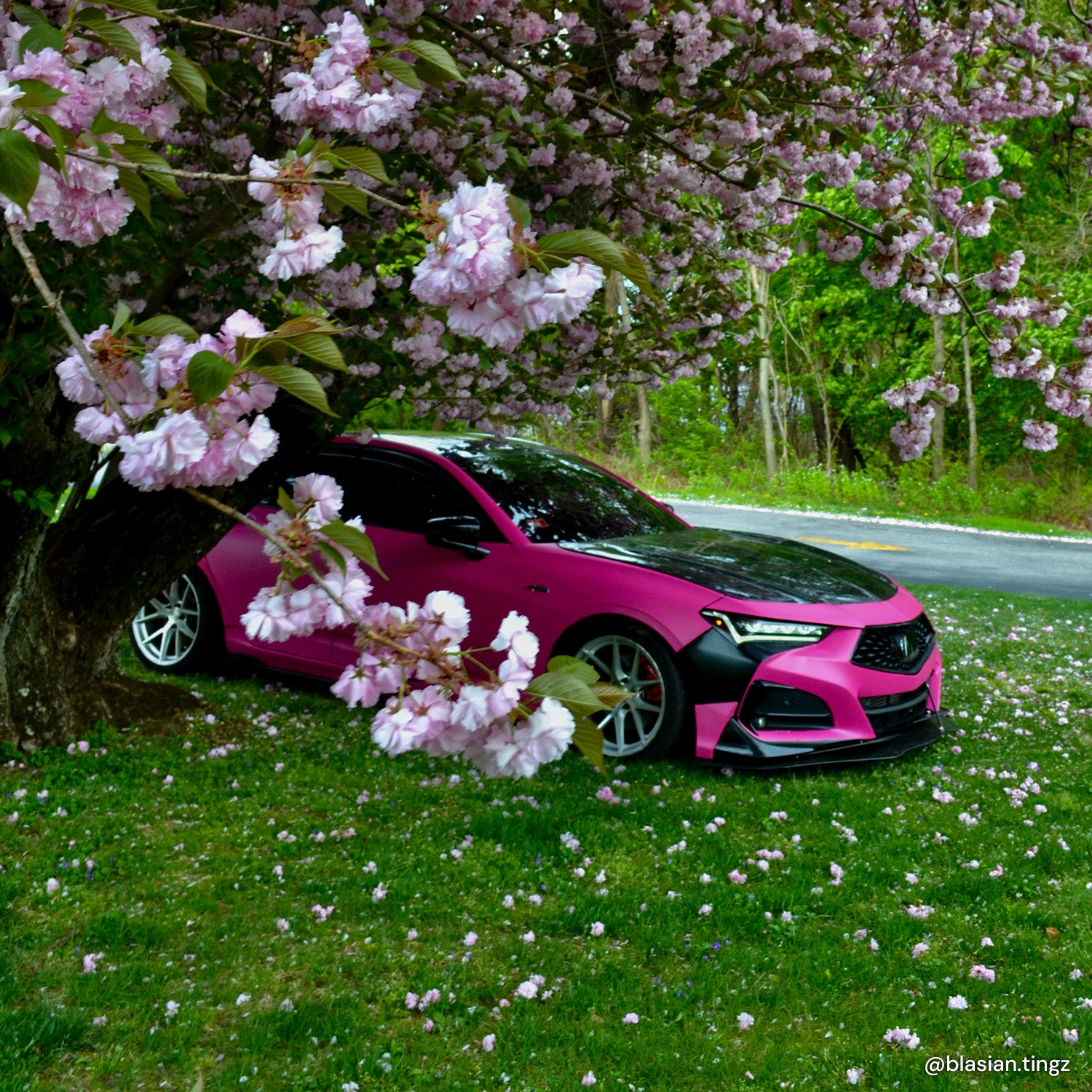 XPO Magenta Matte Vinyl Wrap | Vvivid Canada – VViViD Shop Canada